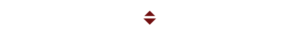 polygon-art-white polygon-art-white
