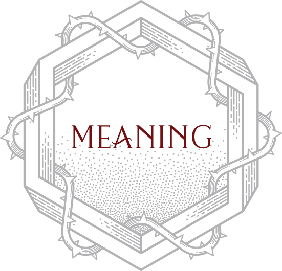 MEANING MEANING