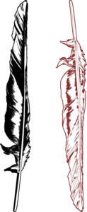 feathers feathers