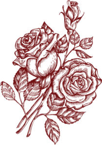 power-name-rose power-name-rose